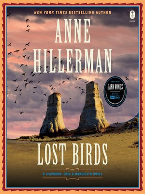 cover image of Lost Birds